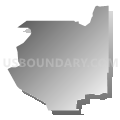 Census Tract 2168.49, Maricopa County, Arizona (Gray Gradient Fill with Shadow)