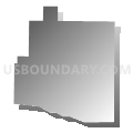 Census Tract 31.04, Pueblo County, Colorado (Gray Gradient Fill with Shadow)