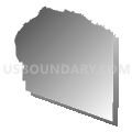 Census Tract 32, Pueblo County, Colorado (Gray Gradient Fill with Shadow)