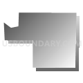 Census Tract 47, Denver County, Colorado (Gray Gradient Fill with Shadow)