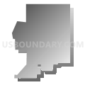 Census Tract 119.02, Denver County, Colorado (Gray Gradient Fill with Shadow)