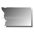 Census Tract 46.03, El Paso County, Colorado (Gray Gradient Fill with Shadow)
