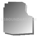 Census Tract 56.01, El Paso County, Colorado (Gray Gradient Fill with Shadow)