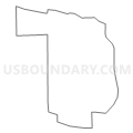 Census Tract 9800, Cook County, Illinois (Light Gray Border)