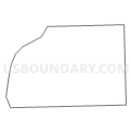 Census Tract 8119, Cook County, Illinois (Light Gray Border)