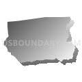 Census Tract 408.04, Livingston Parish, Louisiana (Gray Gradient Fill with Shadow)