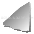 Census Tract 607.41, Dakota County, Minnesota (Gray Gradient Fill with Shadow)