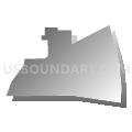Census Tract 102, Dakota County, Nebraska (Gray Gradient Fill with Shadow)
