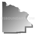 Census Tract 9776, Dixon County, Nebraska (Gray Gradient Fill with Shadow)