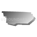 Census Tract 99.01, Hamilton County, Ohio (Gray Gradient Fill with Shadow)