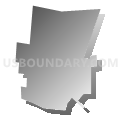 Census Tract 239.02, Hamilton County, Ohio (Gray Gradient Fill with Shadow)