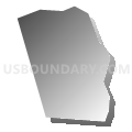 Census Tract 207.05, Hamilton County, Ohio (Gray Gradient Fill with Shadow)