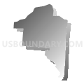 Census Tract 204.04, Hamilton County, Ohio (Gray Gradient Fill with Shadow)