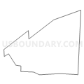 Census Tract 2032, Lake County, Ohio (Light Gray Border)