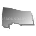 Census Tract 204, Montgomery County, Ohio (Gray Gradient Fill with Shadow)