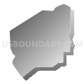 Census Tract 4, Benton County, Oregon (Gray Gradient Fill with Shadow)