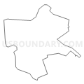 Census Tract 5630, Allegheny County, Pennsylvania (Light Gray Border)