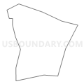 Census Tract 4306, Fairfax County, Virginia (Light Gray Border)