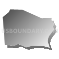 Census Tract 521.15, Snohomish County, Washington (Gray Gradient Fill with Shadow)