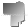 Census Tract 918, Kitsap County, Washington (Gray Gradient Fill with Shadow)