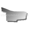 Census Tract 110.01, Benton County, Washington (Gray Gradient Fill with Shadow)