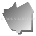 Census Tract 9206, Walla Walla County, Washington (Gray Gradient Fill with Shadow)