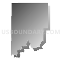 Census Tract 9501, Skamania County, Washington (Gray Gradient Fill with Shadow)