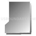 Census Tract 29, Spokane County, Washington (Gray Gradient Fill with Shadow)