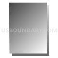 Census Tract 111.01, Spokane County, Washington (Gray Gradient Fill with Shadow)