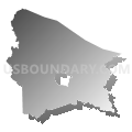 Johnson County School District, Kentucky (Gray Gradient Fill with Shadow)