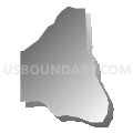 Precinct 32 - East Valley, Douglas County, Nevada (Gray Gradient Fill with Shadow)