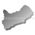 Precinct 36 - Skyland, Douglas County, Nevada (Gray Gradient Fill with Shadow)