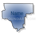 Precinct 14 - Pinenut, Douglas County, Nevada (Radial Fill with Shadow)
